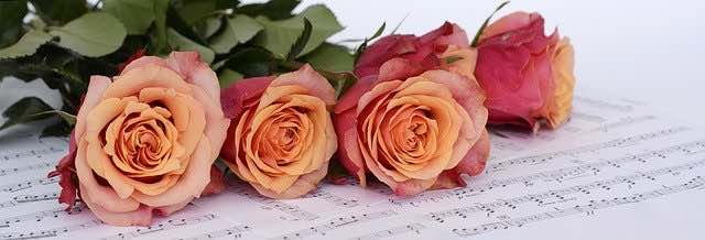 musica y rosas